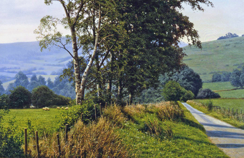 Country Lane, South Wales